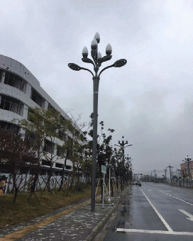 吴江中华灯生产厂家